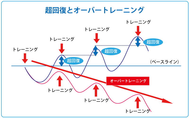 筋トレの基本と超回復・オーバートレーニング | モデレートエクササイズ